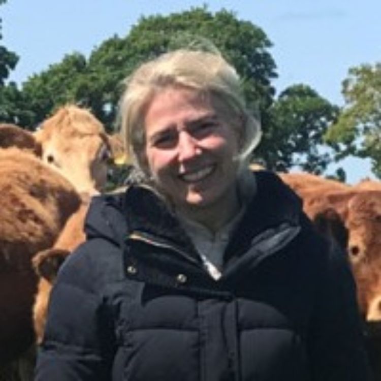 cover art for Diversifying Irish Food Exports in European Markets