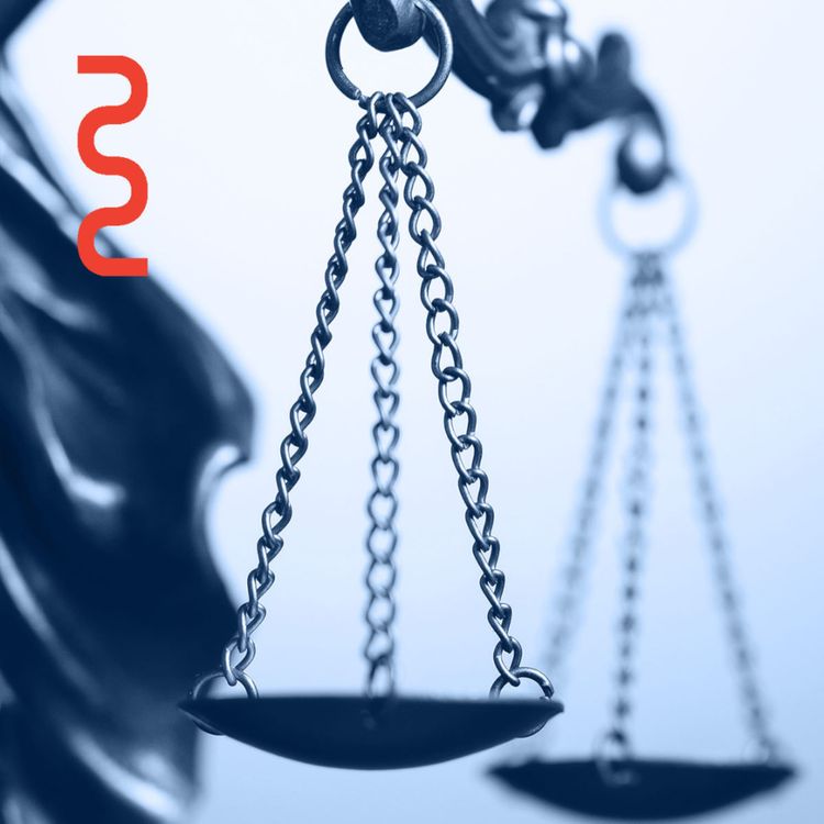 cover art for Diagnosing and treating bribery in public organizations
