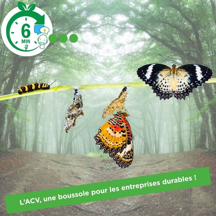 cover art for #005 - Rubrique "6 Min. pour comprendre": L’ACV, une boussole pour les entreprises durables (FR)