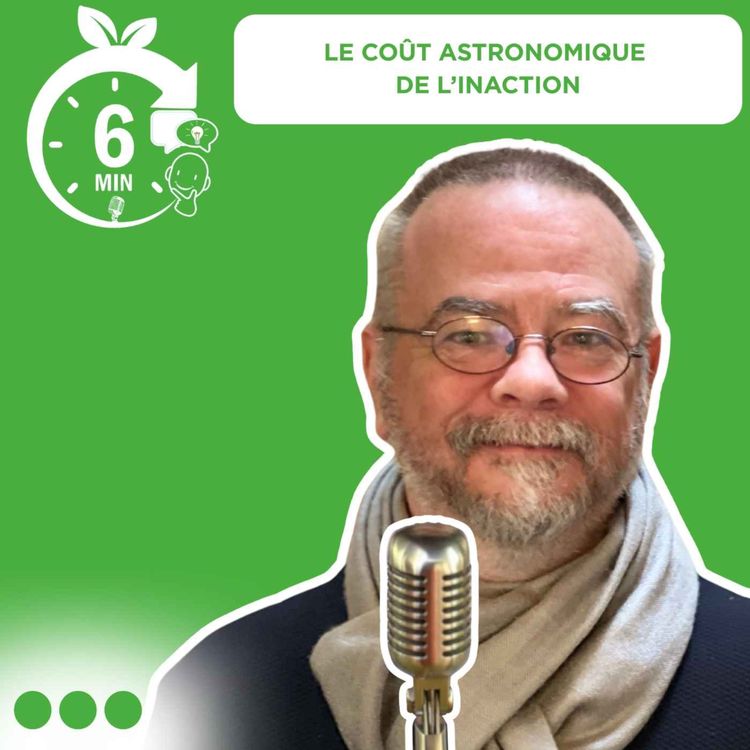 cover art for #025 – Rubrique “6 Min. pour comprendre” : Le coût astronomique de l’inaction (FR)