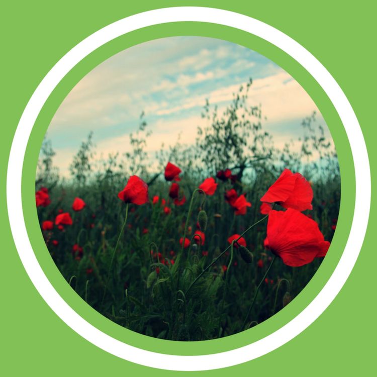 cover art for #069 - Julie Bernard - Les aphrodisiaques au naturel: épisode 2 (FR)