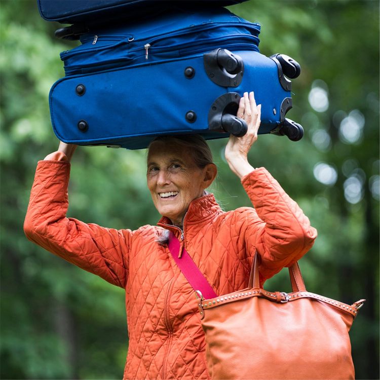 cover art for Working Without Tension | Swami Divyananda