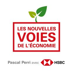 cover art for Les nouvelles voies de l'économie