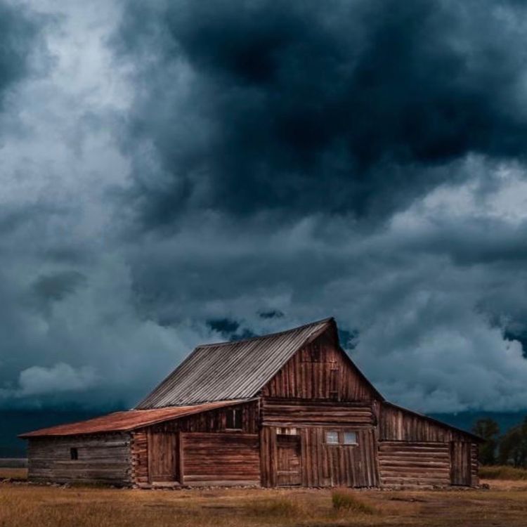cover art for Cuando vengan las lluvias.