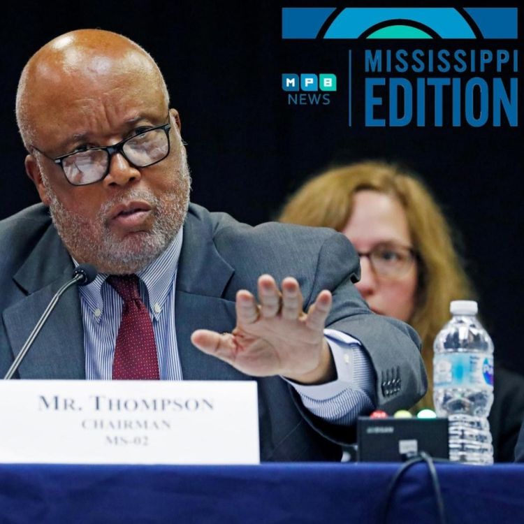 cover art for ME 11/8/19 - ICE Raids Hearing | Ransomware | #SavedByTheScan 