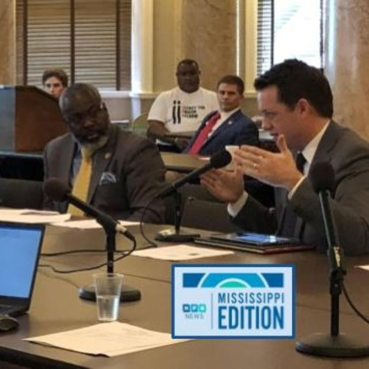 cover art for ME 2/13/20 - Correction Committees Meet | New Emergency Response Technology | Book Club:  Stay Woke