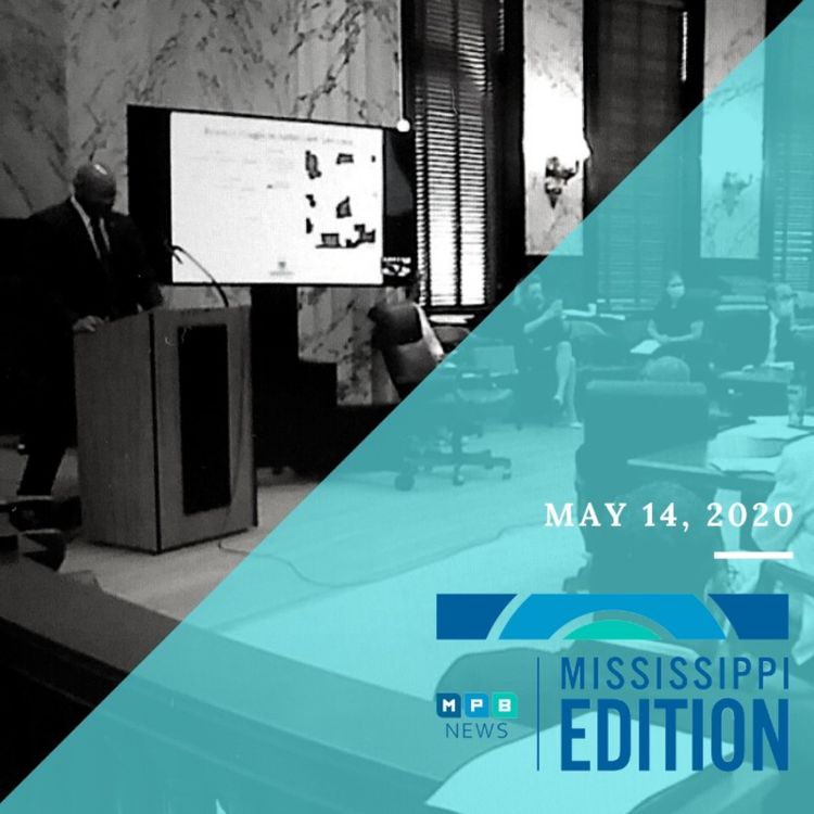 cover art for 5/14/20 - Small Business Programs & Senate Education Committee | Voting Rights | Book Club: Steeped in the Blood of Racism