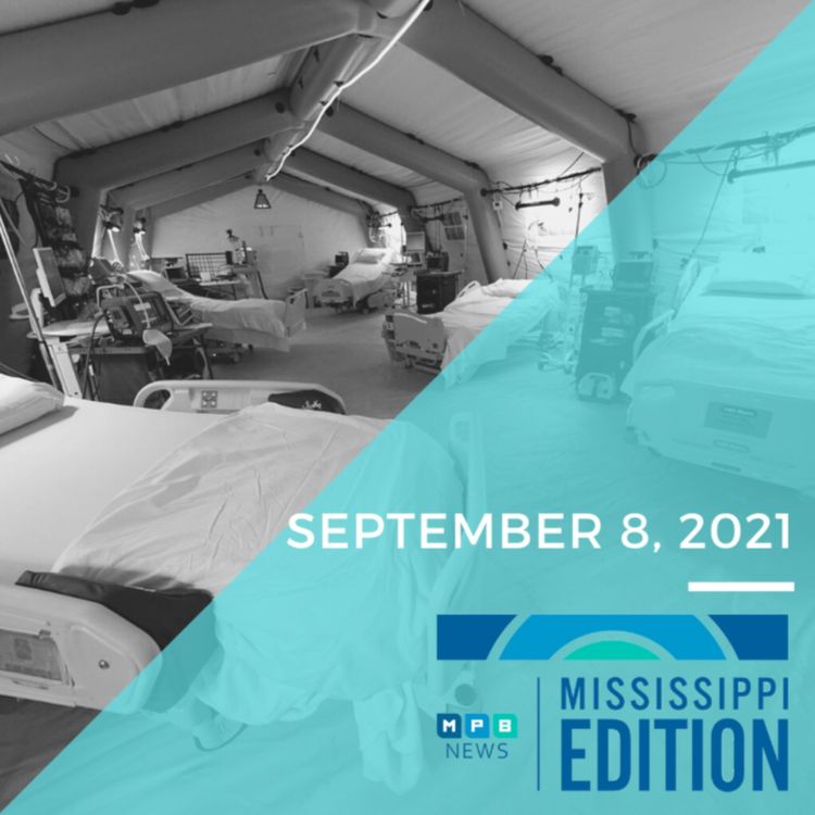 cover art for 9/8/2021 - Rep. Michael Guest | Monoclonal Antibodies | Labor Shortage