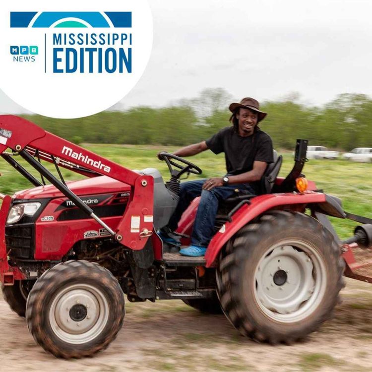 cover art for 06/12/2023 Alabama SC Ruling | Climate Change Farming | Flood Insurance Hike | Hot Cars in Summer