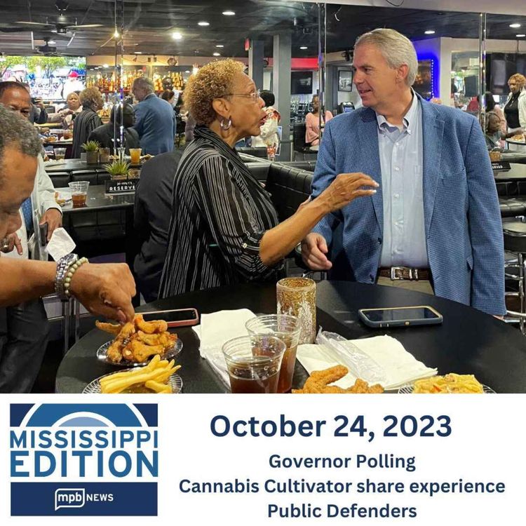 cover art for 10/24/2023: Governor Polling | Cannabis Cultivator Shares Experience || Public Defenders