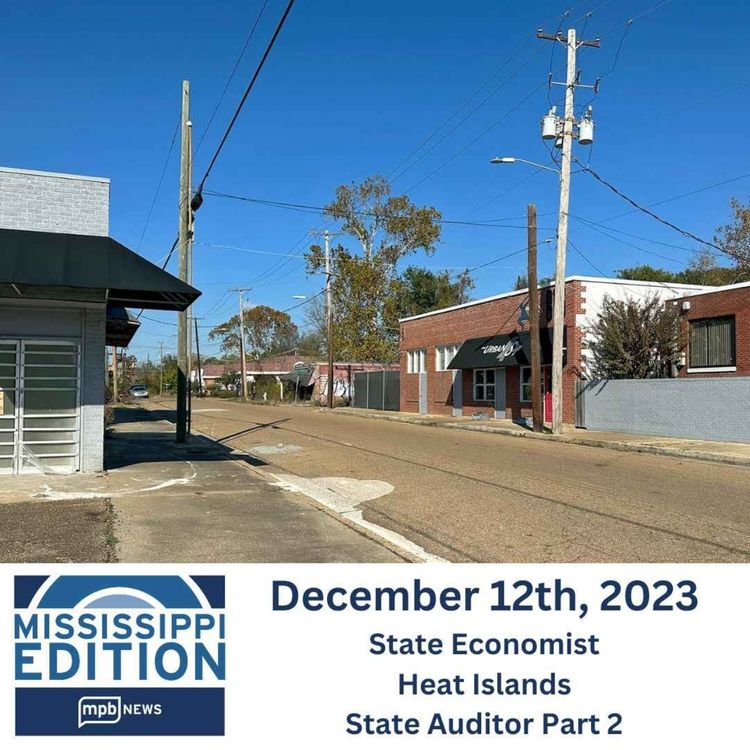 cover art for 12/12/2023: State Economist | Heat Islands | State Auditor Part 2