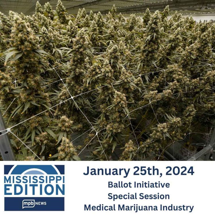 cover art for 01/25/2024: Ballot Initiative | Special Session | Medical Marijuana Industry