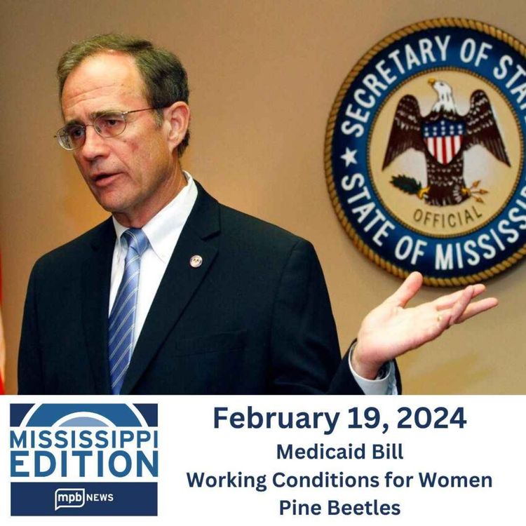 cover art for 02/19/2024: Medicaid Bill | Working Conditions for Women | Pine Beetles