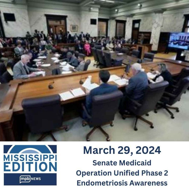 cover art for 03/29/2024: Senate Medicaid | Operation Unified Phase 2 | Endometriosis Awareness