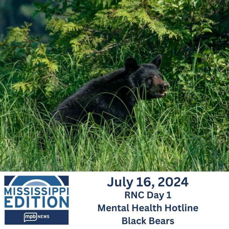 cover art for 07/16/2024: RNC Day 1 | Mental Health Hotline | Black Bears