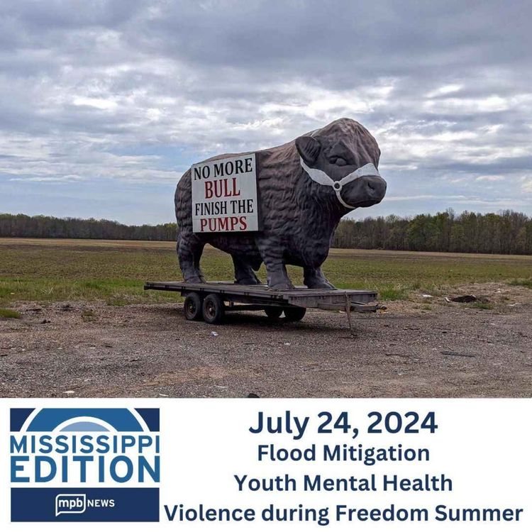 cover art for 07/24/2024: Flood Mitigation | Youth Mental Health | Violence during Freedom Summer Pt 1