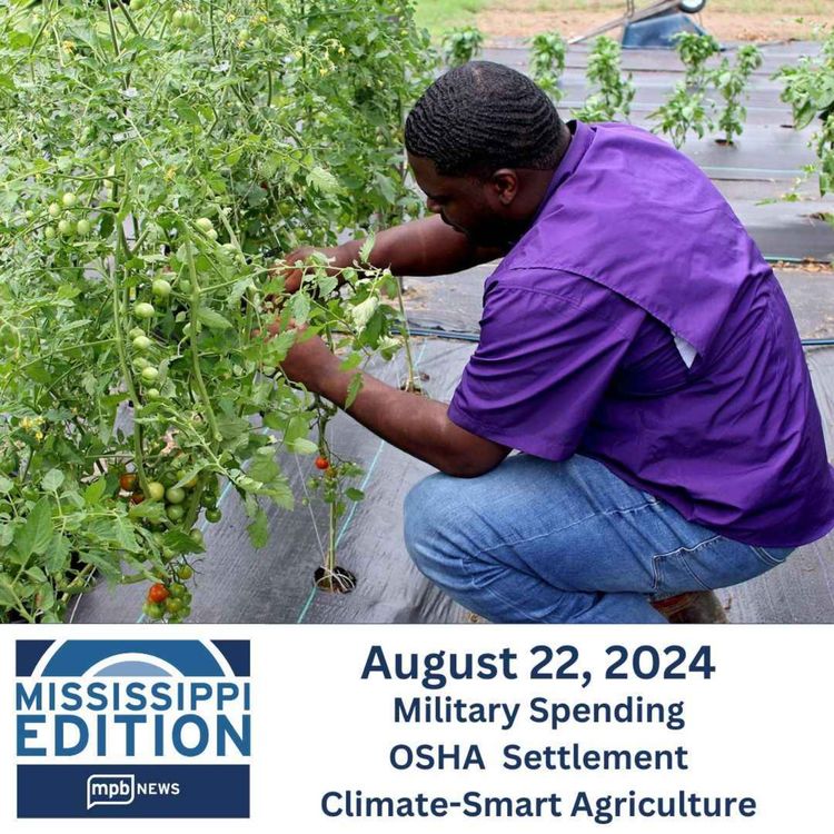 cover art for 08/22/2024: Military Spending | OSHA Settlement | Climate-Smart Agriculture