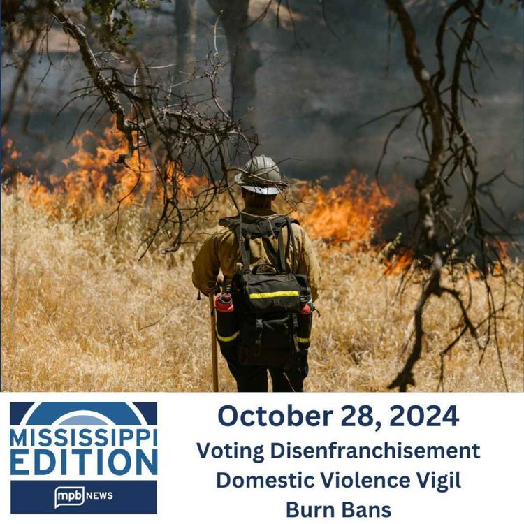 cover art for 10/28/2024: Voting Disenfranchisement | Domestic Violence Vigil | Burn Bans