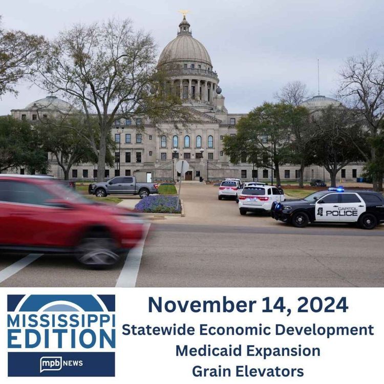 cover art for 11/14/2024: Statewide Economic Development | Medicaid Expansion | Grain Elevators