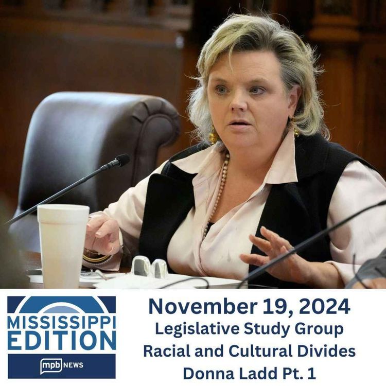 cover art for 11/19/2024: Legislative Study Group | Racial and Cultural Divides | Donna Ladd Pt. 1