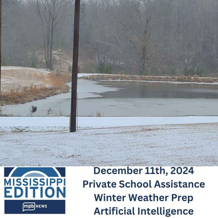 cover art for 12/11/2024: Private School Assistance | Winter Weather Prep | Artificial Intelligence