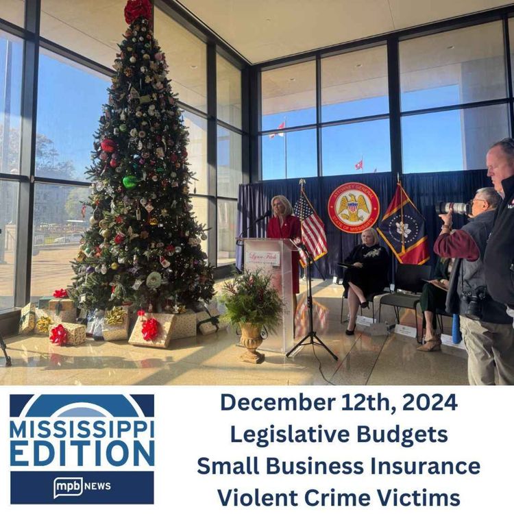 cover art for 12/12/2024: Legislative Budgets | Small Business Insurance | Violent Crime Victims