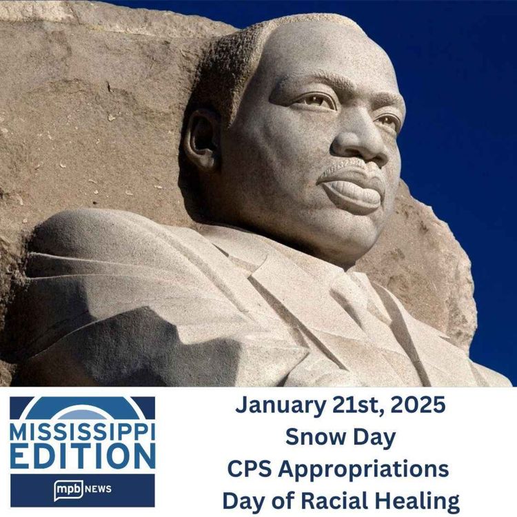 cover art for 01/21/2025: Snow Day | CPS Appropriations | Day of Racial Healing