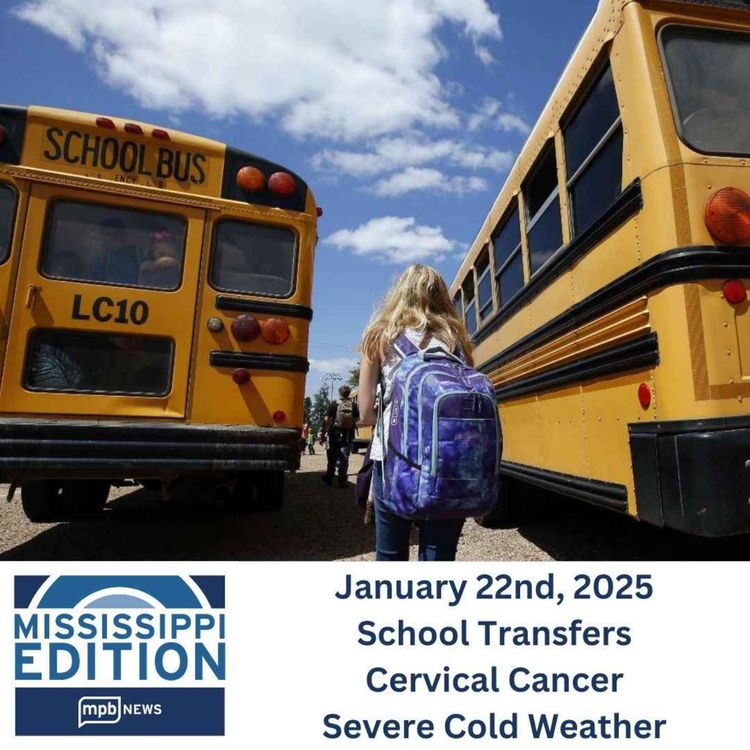 cover art for 01/22/2025: School Transfers | Cervical Cancer | Severe Cold Weather