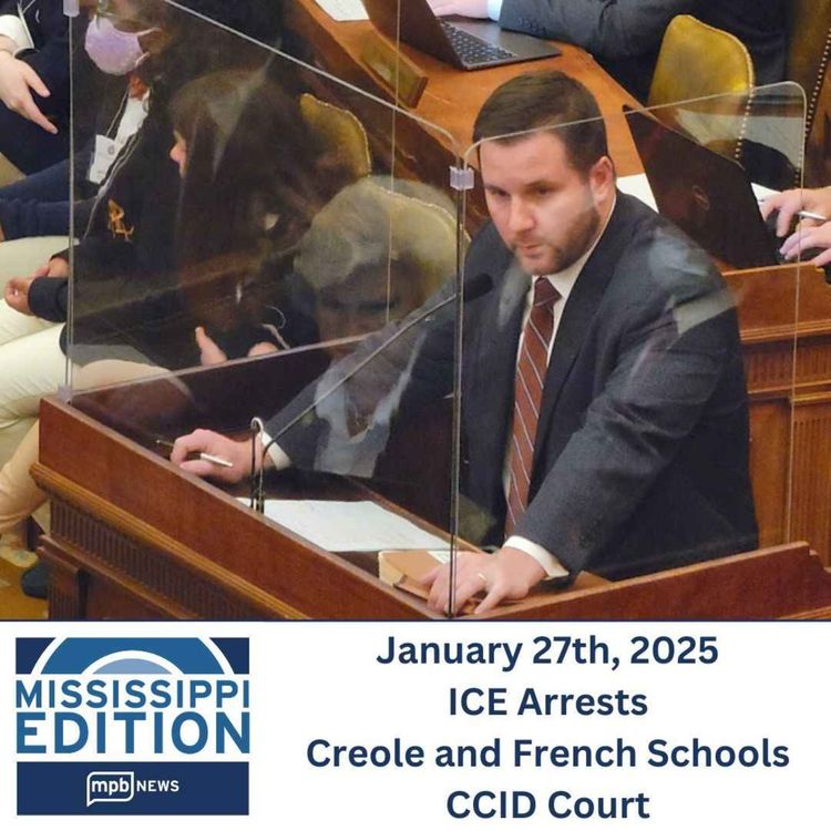 cover art for 01/27/2025: ICE Arrests | Creole and French Schools | CCID Court