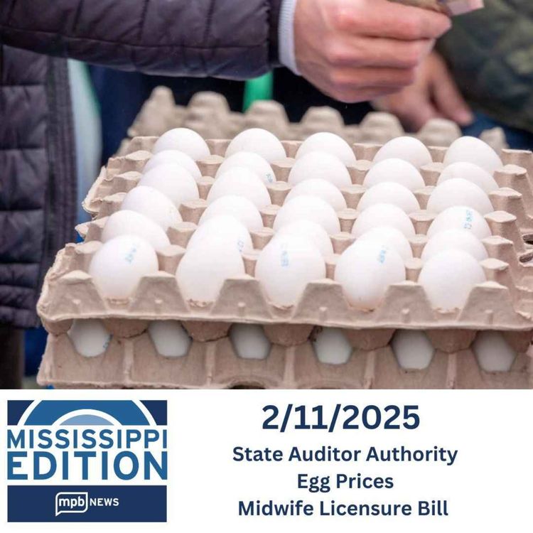 cover art for 02/11/2025: State Auditor Authority | Egg Prices | Midwife Licensure Bill