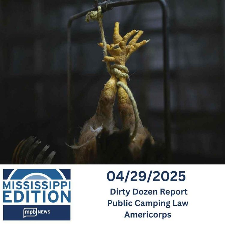 cover art for 04/29/2025: Dirty Dozen Report | Public Camping Law | Americorps