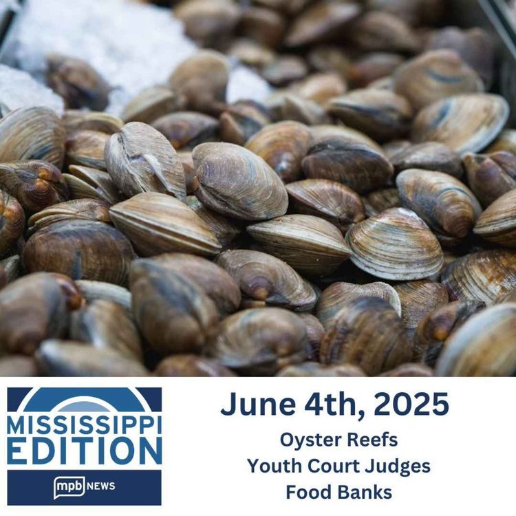 cover art for 06/04/2025: Oyster Reefs | Youth Court Judges | Food Banks