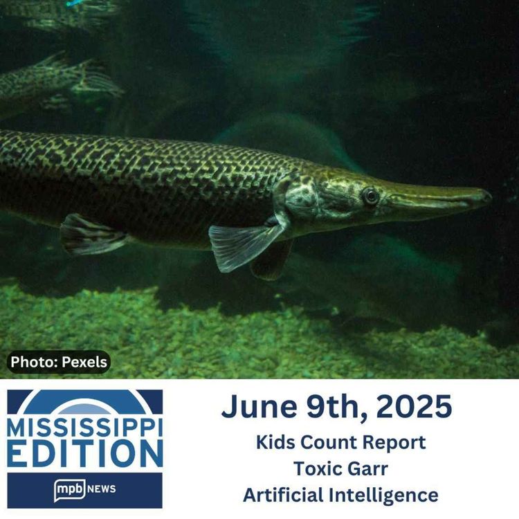 cover art for 06/09/2025: Kids Count Report | Toxic Garr | Artificial Intelligence