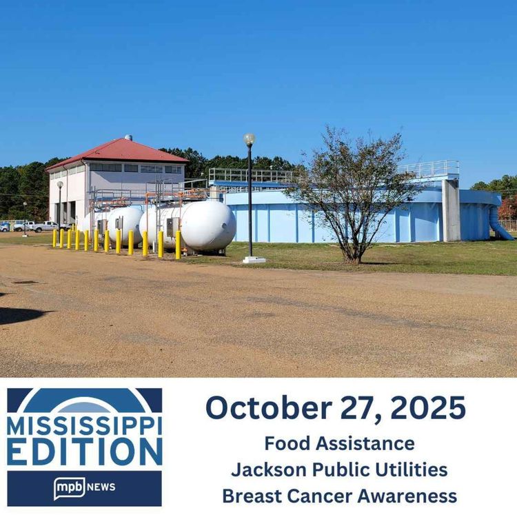 cover art for 10/27/2025: Food Assistance | Jackson Public Utilities | Breast Cancer Awareness