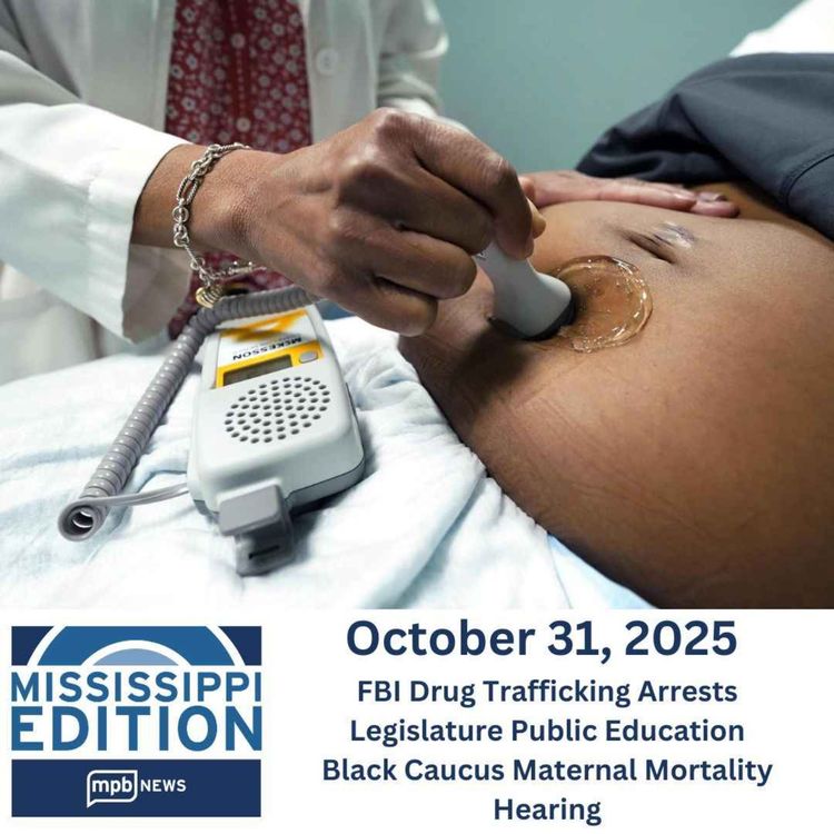 cover art for 10/31/2025: FBI Drug Trafficking Arrests/Legislature Public Education/Black Caucus Maternal Deaths