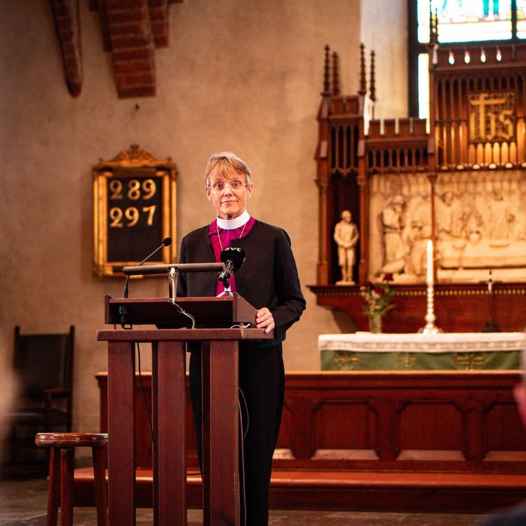 cover art for 48. Utflykt till MARIANN BUDDE