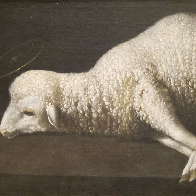 cover art for Sacrifice as the Source of Christian Life