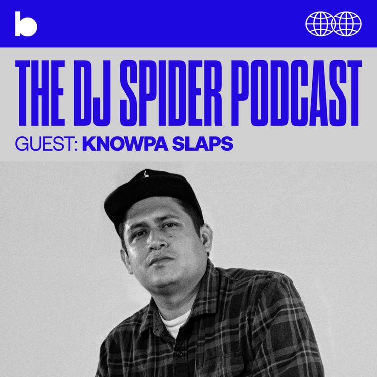 cover art for Knowpa Slaps
