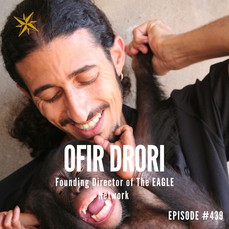 cover art for 439. One Rescued Chimp, Three Thousand Traffickers Jailed- Ofir Drori