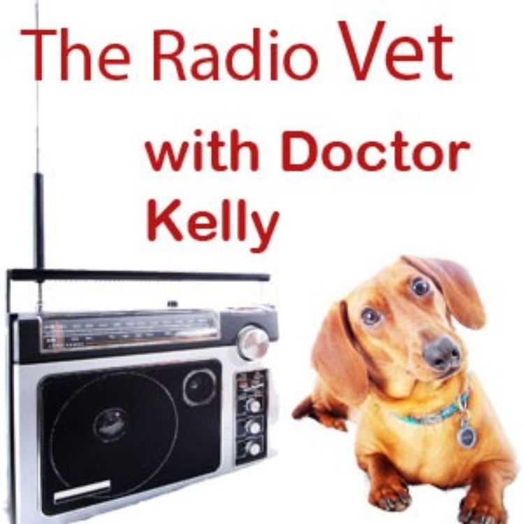 cover art for The Radio Vet with Doctor Kelly - Training Cats or The Impossible Dream?