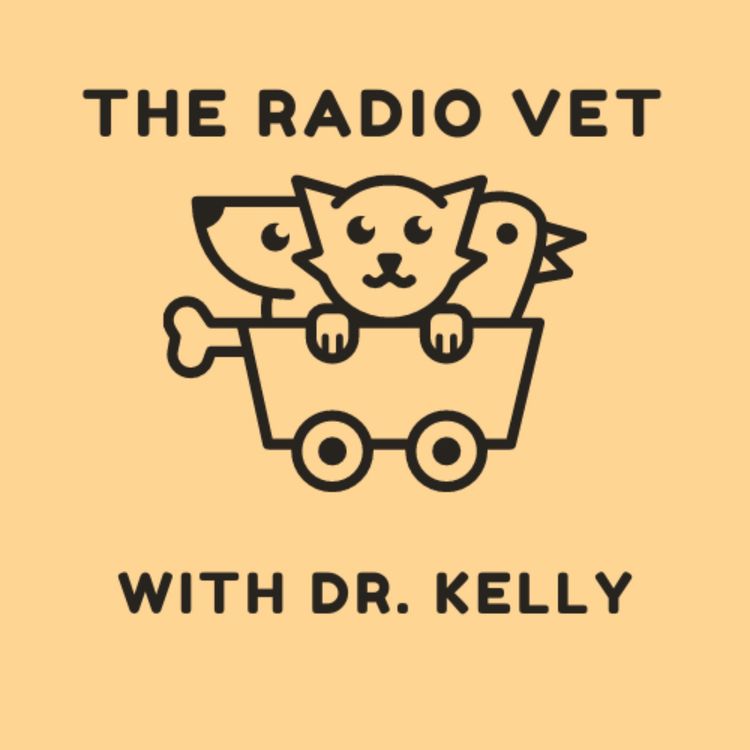 cover art for The Radio Vet with Dr. Kelly - "Adrenal Gland Issues"