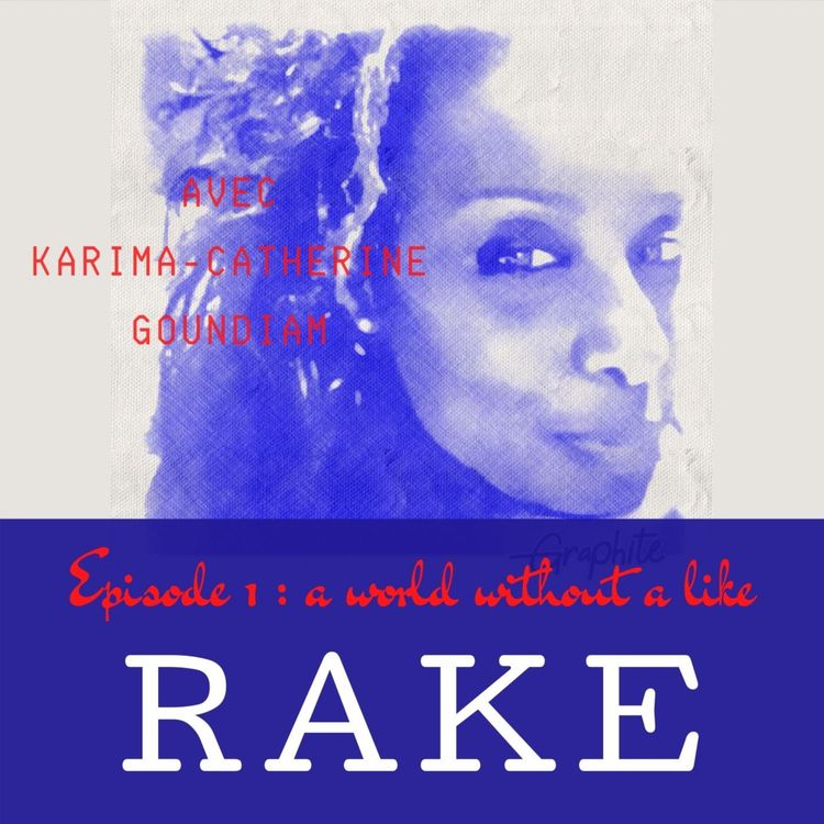 cover art for A world without a like