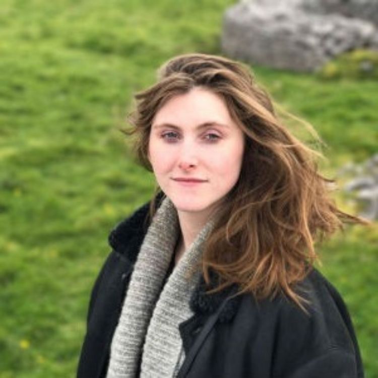 cover art for Republic of Shame