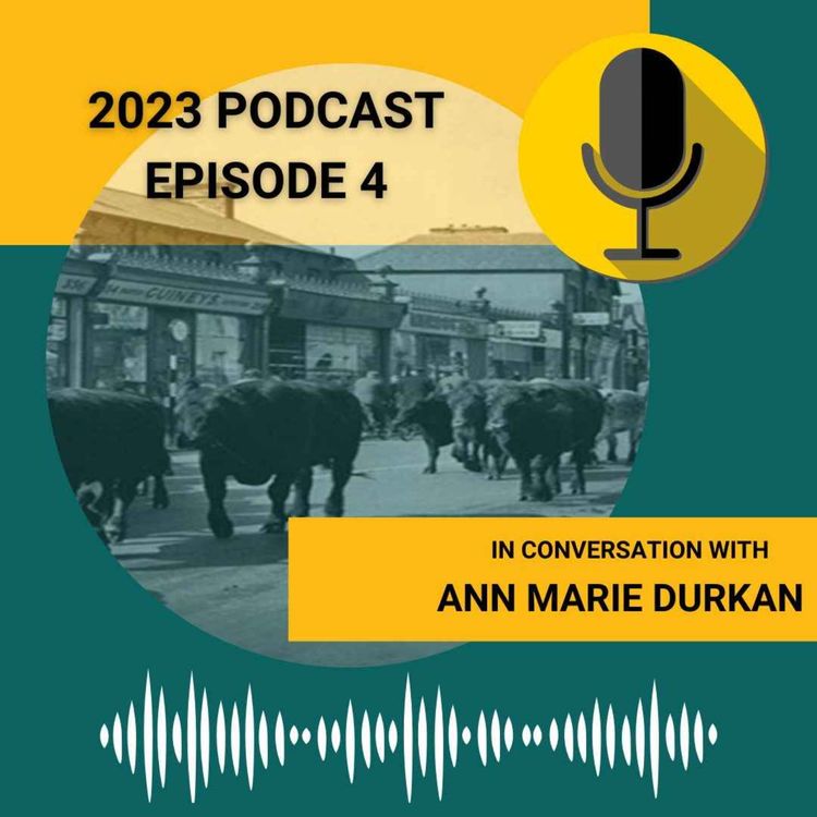 cover art for Animals in 20th Century Dublin: In conversation with Ann Marie Durkan