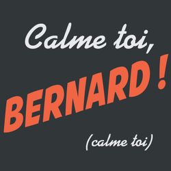 cover art for Calme toi, Bernard !