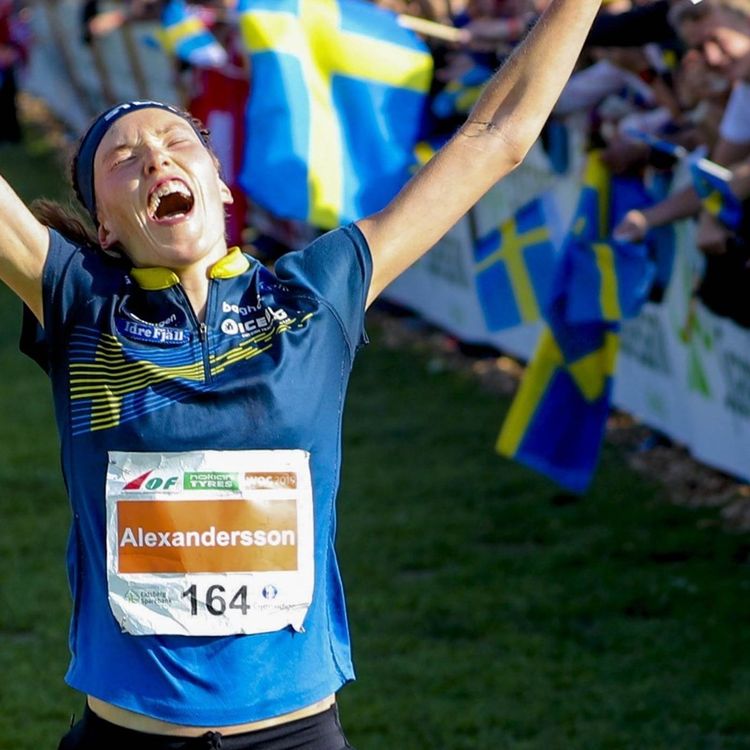 cover art for Tisdag 3 december 2019