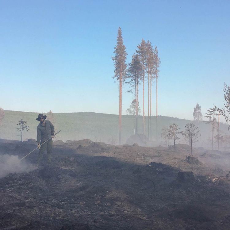 cover art for Måndag 23 juli 2018