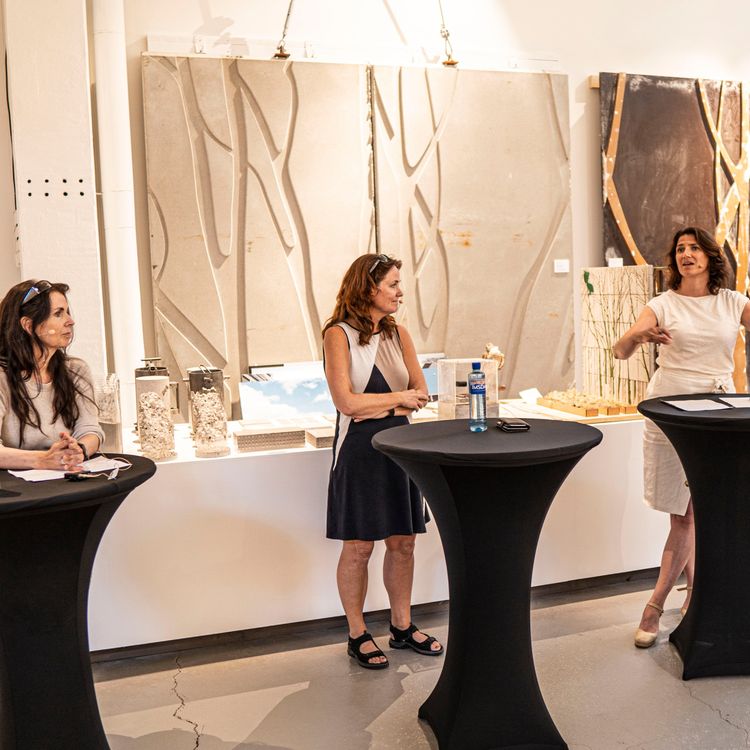 cover art for Hvordan skal Oslo bli verdens første utslippsfrie storby?