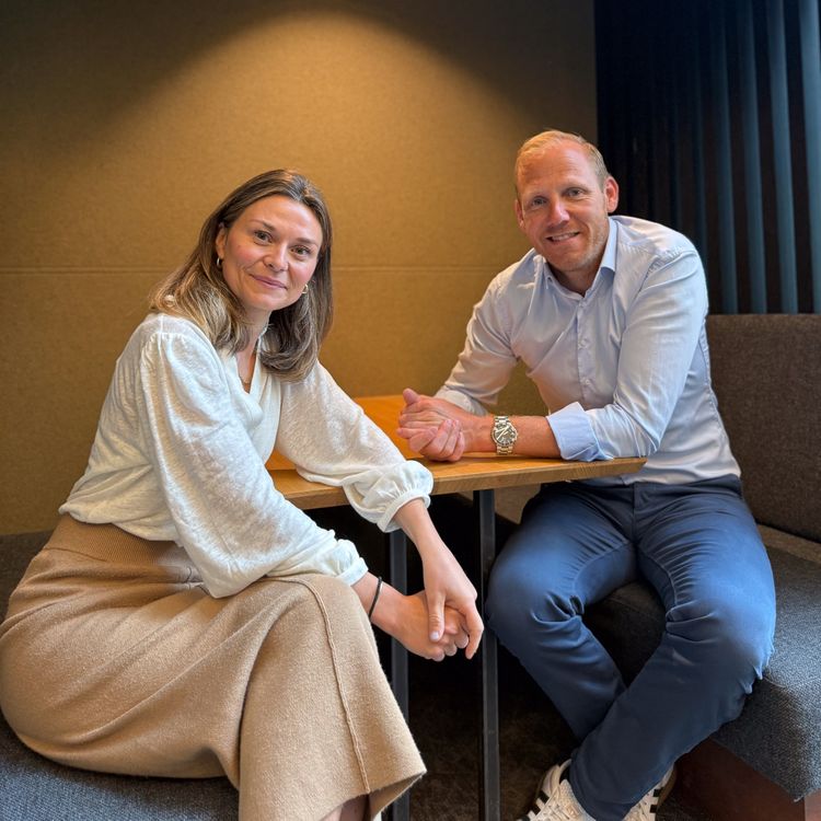 cover art for Stillingspodden: Seksjon samferdsel