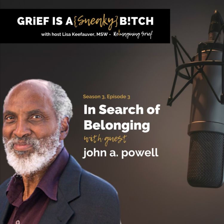 cover art for john a powell | In Search of Belonging